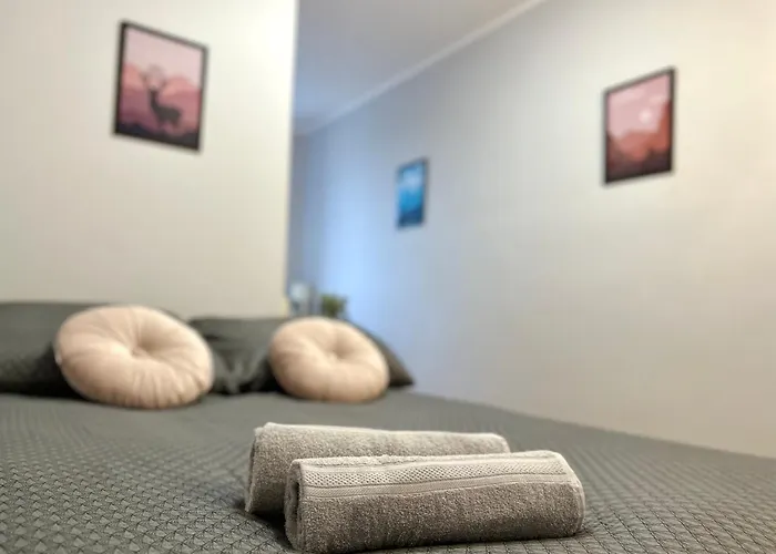 Mmrent Stag Room